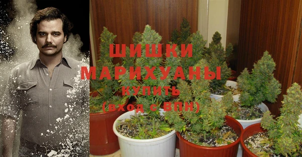 первитин Гусев