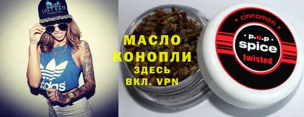 первитин Гусев