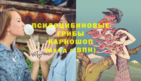 бутик Гусь-Хрустальный