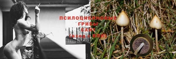mdma Дмитровск