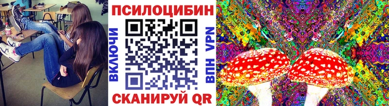 Псилоцибиновые грибы мухоморы  Купить  Камызяк 